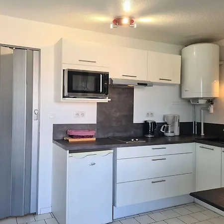 Appartement Moderne 4 Pers Avec Piscine Et Parking Au Cap D'Agde - Fr-1-249-411 아파트 아그